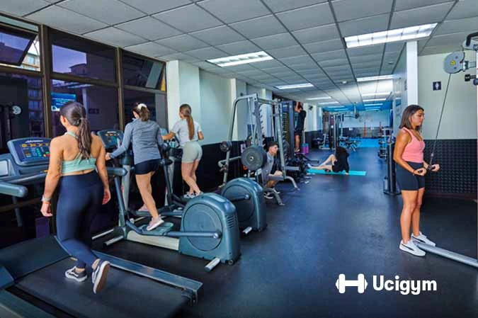 Imagen representativa de Gimnasio en UCIMED