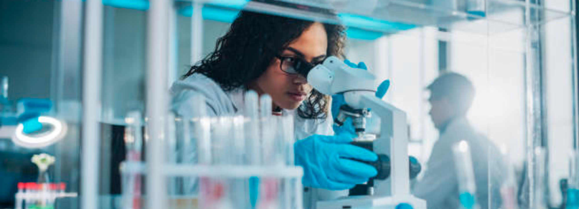 Taller de investigacion en costa rica