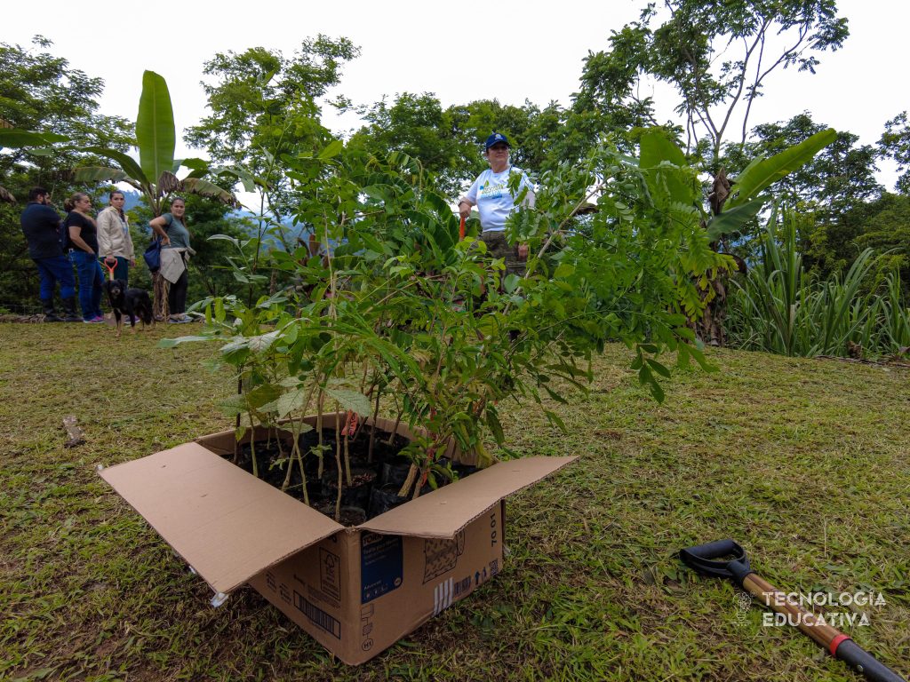 ¡UCIMED por un planeta más verde! El pasado 14 de junio, nuestros voluntarios se sumaron a la Siembratón, la iniciativa de la Oficina Nacional Forestal en la que se siembran árboles para impactar los espacios de regeneración de la Tierra.