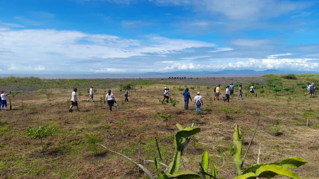 Voluntariado Guacalillo