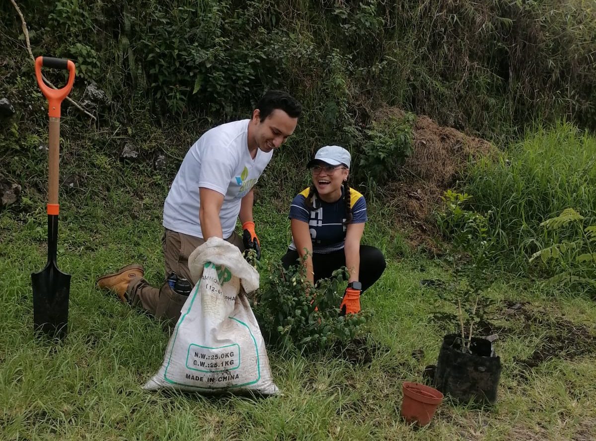Voluntareado Cervantes