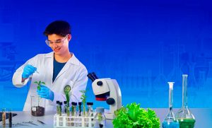 Biotecnología