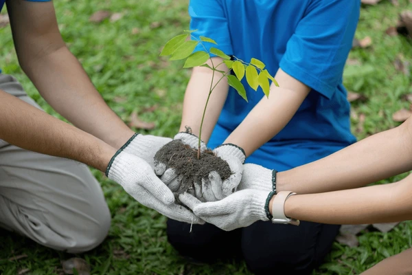 Ucimed en informe REDIES 2024. Imagen ilustrativa.